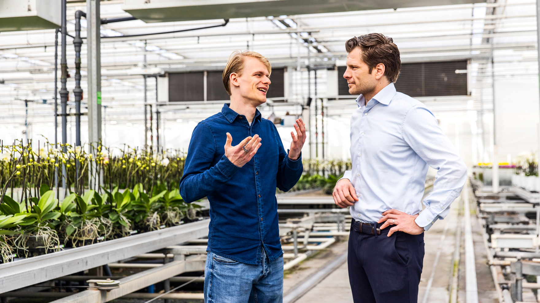 Two men talking to each other in a greenhouse of orchids